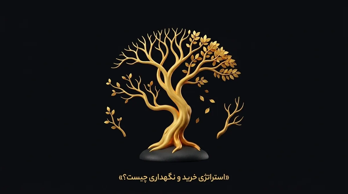 استراتژی خرید و نگهداری چیست